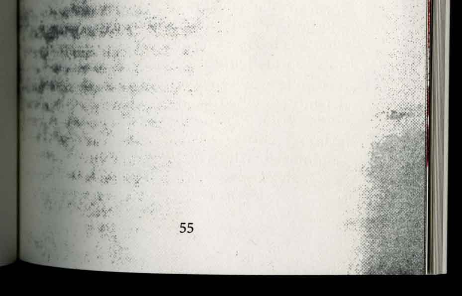 experiencepapier